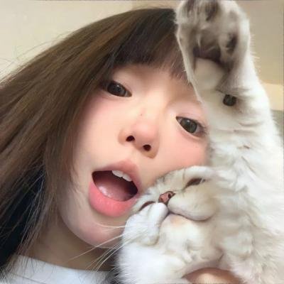 雾中之犬